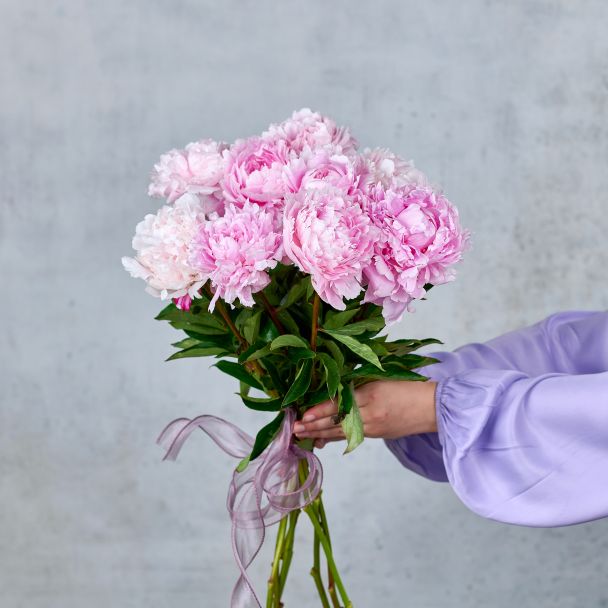 Букет из 11 пионов